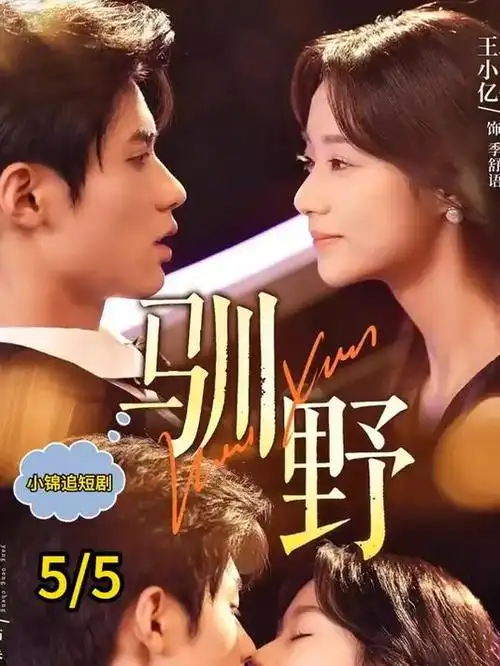 长夜列车 热播电视剧全集在线观看